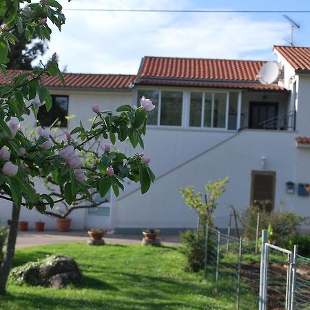 פורץ Apartment Rama מראה חיצוני תמונה